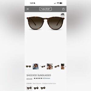 Nectar Tortoise Shell Sunglasses